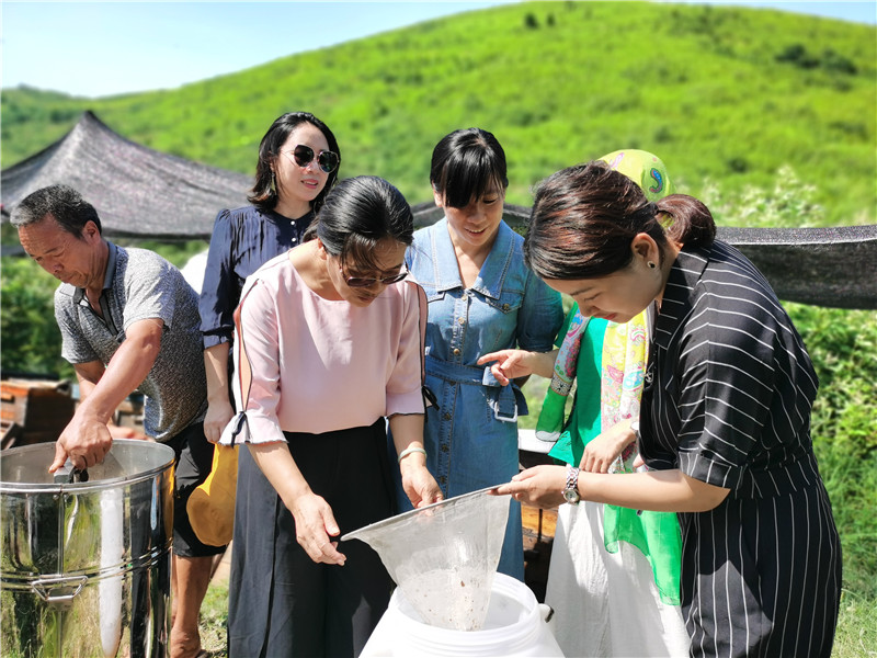 深入瑶岭养岭养蜂场.jpg