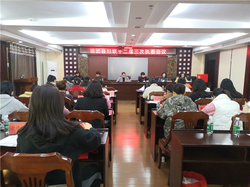 十二届三次执委会.jpg